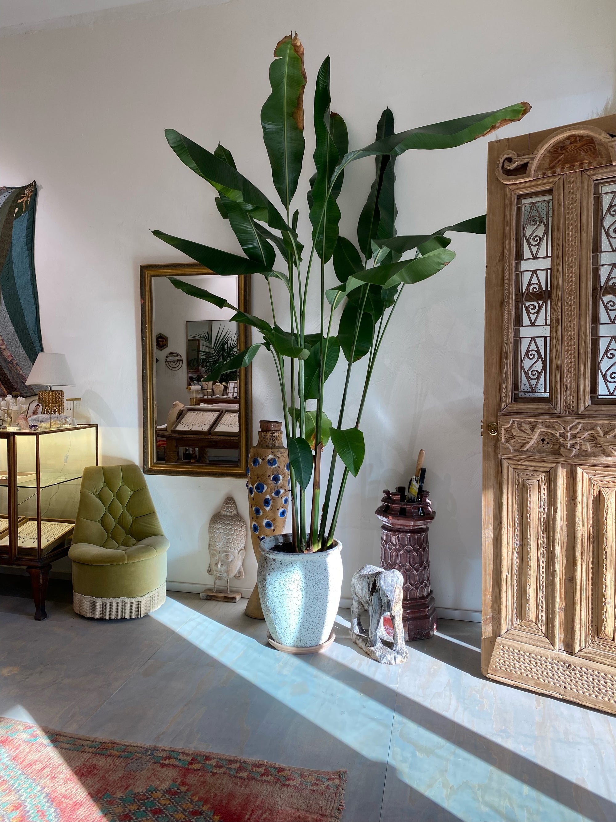 Inside the Corali Store